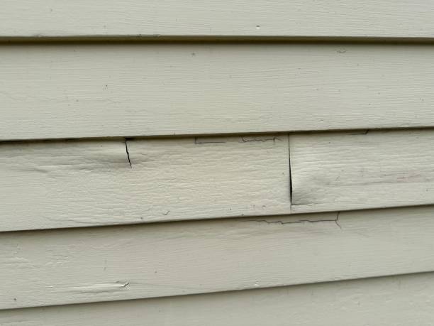 Siding for Multi-Family Homes in Yarrow Point, WA